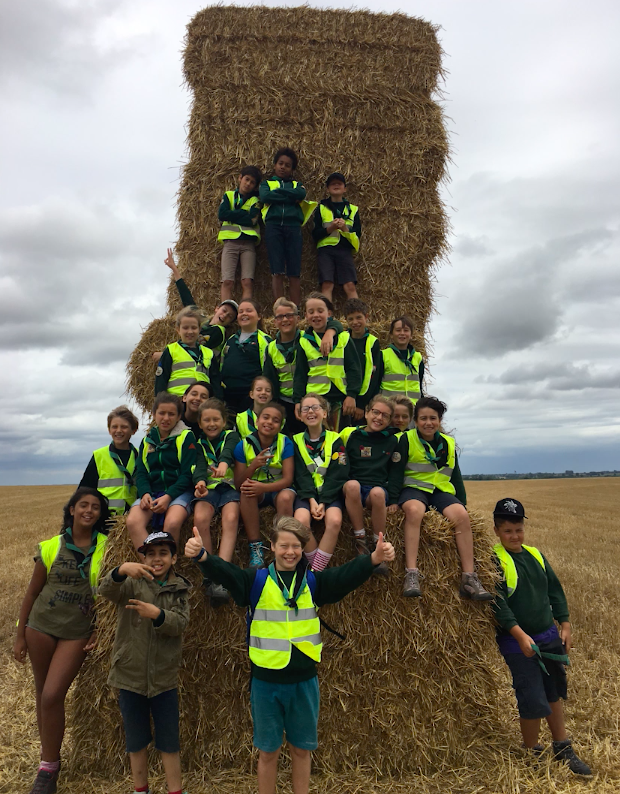 Nous cherchons des animateurs ou animatrices pour les balas-loups pour l&rsquo;année 2025-2026.